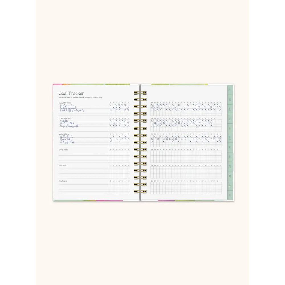 2024 Orange Circle 12 Month Edie Tabbed Planner Fresh Start